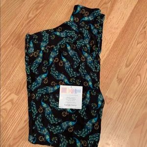 NWT TC Lularoe leggings